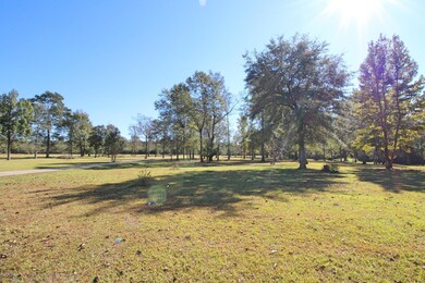 3261 Howell Tanner Chapel Rd, Lucedale, MS 39452 - photo 3