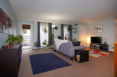 314 Riverside Ave unit 204, Medford, MA 02155 - photo 4