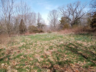 7509 Little St, Seligman, MO 65745 - photo 2