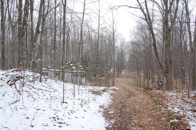 from the trail looking out