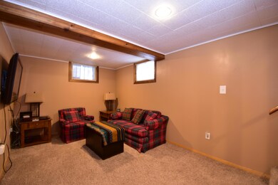Basement Family Room