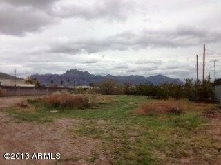 photo (3)