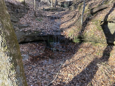 0 Pigpen Hollow Rd unit RTC3050203, Waynesboro, TN 38485 - photo 5