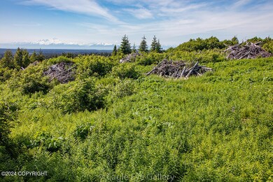 32926 Coyote Run Rd, Nikolaevsk, AK 99556 - photo 7
