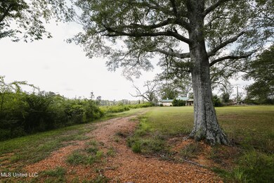 2778 Big Creek Dr SW, Bogue Chitto, MS 39629 - photo 4