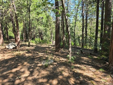 0 Lovers Ln unit 32502072, Crestline, CA 92322 - photo 2