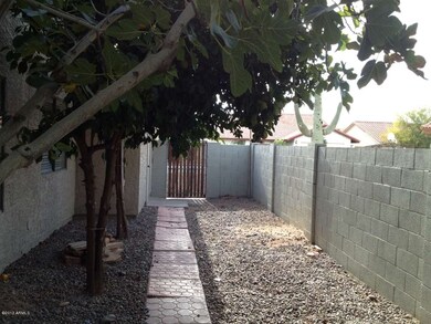 photo (5)