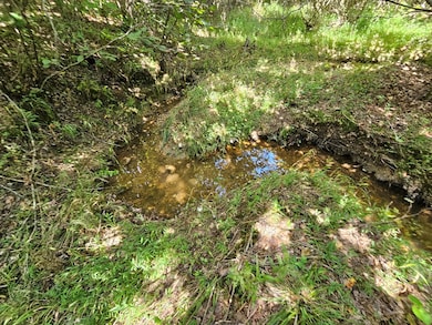 Creek