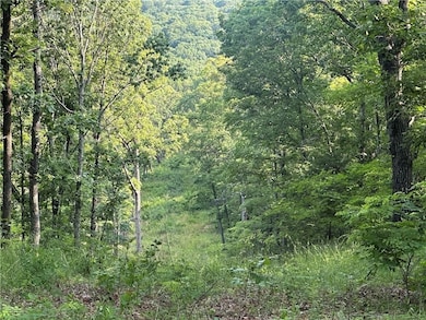 Tract A Madison Cr 6021, Elkins, AR 72727 - photo 5