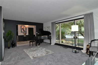 874 Hemlock Ln, Northfield, OH 44067 - photo 6