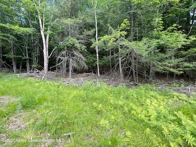 Tbd Boulder Brook Rd Lot B13, Windham, NY 12496 - photo 4