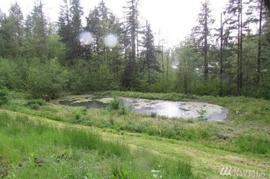 29311 SE 374th St, Enumclaw, WA 98022 - photo 6