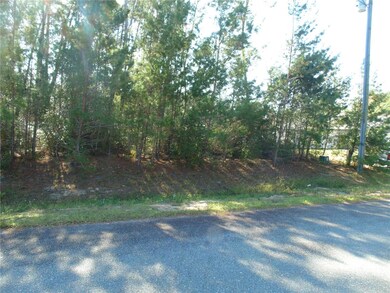 0 SW 112 Place unit MFROM713502, Ocala, FL 34476 - photo 3