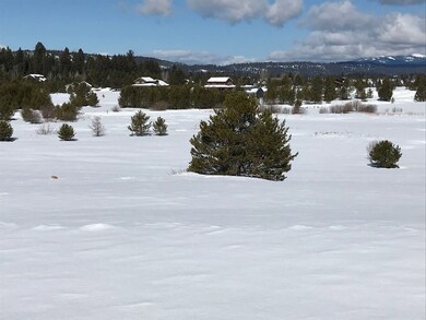 Enjoy Watching the Little Red Fox, Can You Find Hi