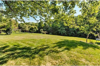 Yard/Garden.