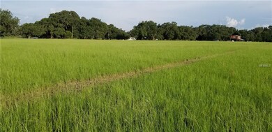 0 Sutton Oaks Ln unit T3155595, Zephyrhills, FL 33541 - photo 7