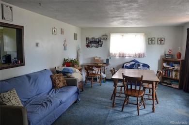 21064 Kelly St, Matheson, CO 80830 - photo 7