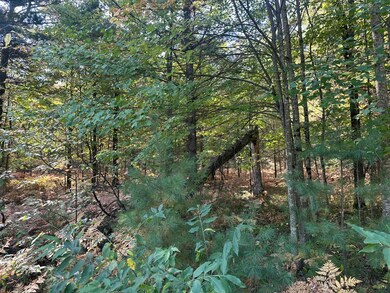 PAR A 16th St, Baldwin, MI 49304 - photo 5