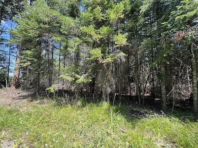 13643 Sundance Trail, Bigfork, MT 59911 - photo 5