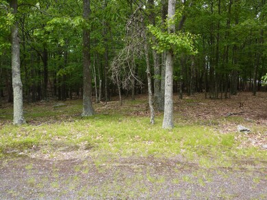 892 / 893 Pico Ln, Blooming Grove Township, PA 18464 - photo 2