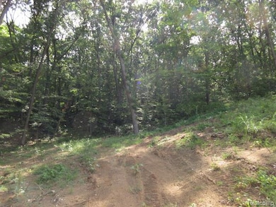 16085 Catalpa Way, Holly, MI 48442 - photo 7