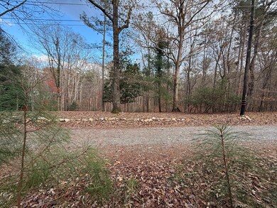 Lot 99 Acella Ct, Ellijay, GA 30540 - photo 7