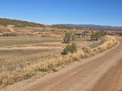 1308 Wrangler Way, Durango, CO 81303 - photo 7