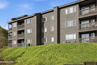 1380 Ski View Dr unit 2202, Gatlinburg, TN 37738 - photo 6