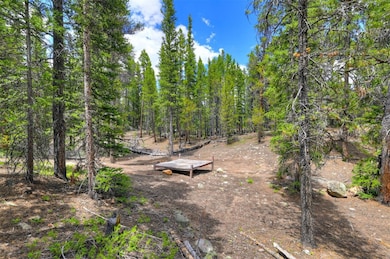 2221 Kootchie Rd, Alma, CO 80420 - photo 5