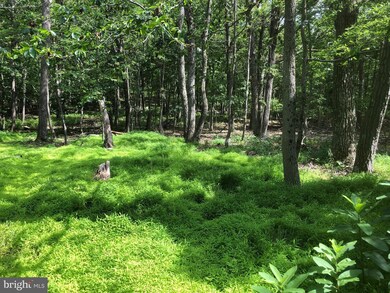 LOT 42, 43 Eagles Nest Ln, Harpers Ferry, WV 25425 - photo 6