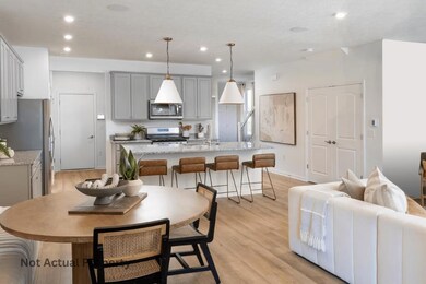 Model Representation