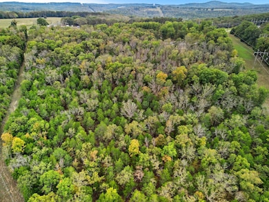 Tbd Tall Timbers Trail, Gainesville, MO 65655 - photo 5