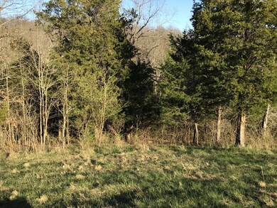 4325 Kentucky 596, Mayslick, KY 41055 - photo 5