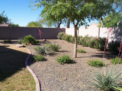 Rear Yard Best
