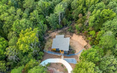 230 Ridge Crest Cir, Ellijay, GA 30540 - photo 2