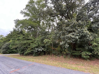 Lot 128 Octopus Rd unit 128, Greenbackville, VA 23356 - photo 5