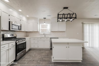 10102 Spring Gate Dr, Louisville, KY 40241 - photo 7