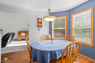 4220 Whitetail Ct, Joliet, IL 60431 - photo 7