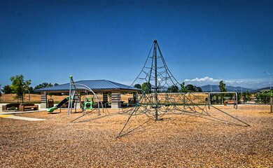 palomar-412