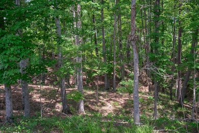 0 Longtown Rd unit 21128598, Ridgeway, SC 29130 - photo 3