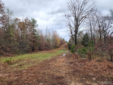 0 Carter Route 266 unit MAR24069627, Grandin, MO 63943 - photo 6