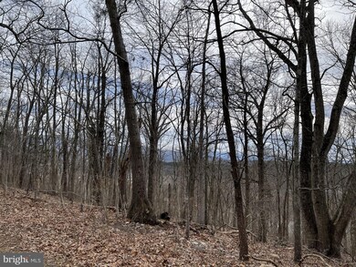 0 River View Rd unit VAPA105930, Rileyville, VA 22650 - photo 7