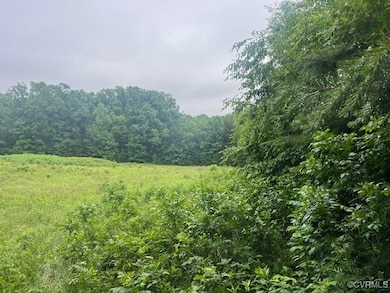 View of woods