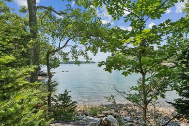 113 Birch Island
