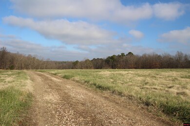 413 Impulse Ln, Yellville, AR 72687 - photo 2