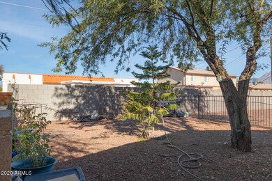 Montebello Backyard 1