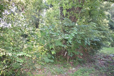 32 Mason Dr, Columbus, GA 31903 - photo 6