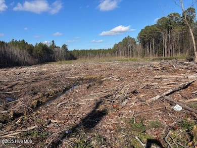 0 Crepe Myrtle unit 100543899, Wilson, NC 27896 - photo 2