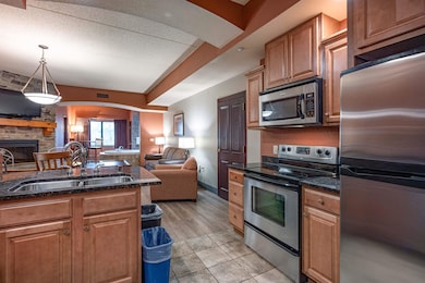 Dells Condominium unit 2359, Wisconsin Dells, WI 53965 - photo 5