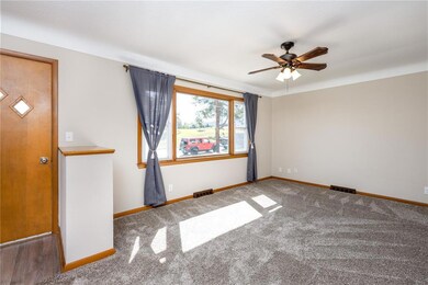 LIVING ROOM, NEW CARPET , PAINT